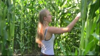 Corn Maze Blowjob pornhabe